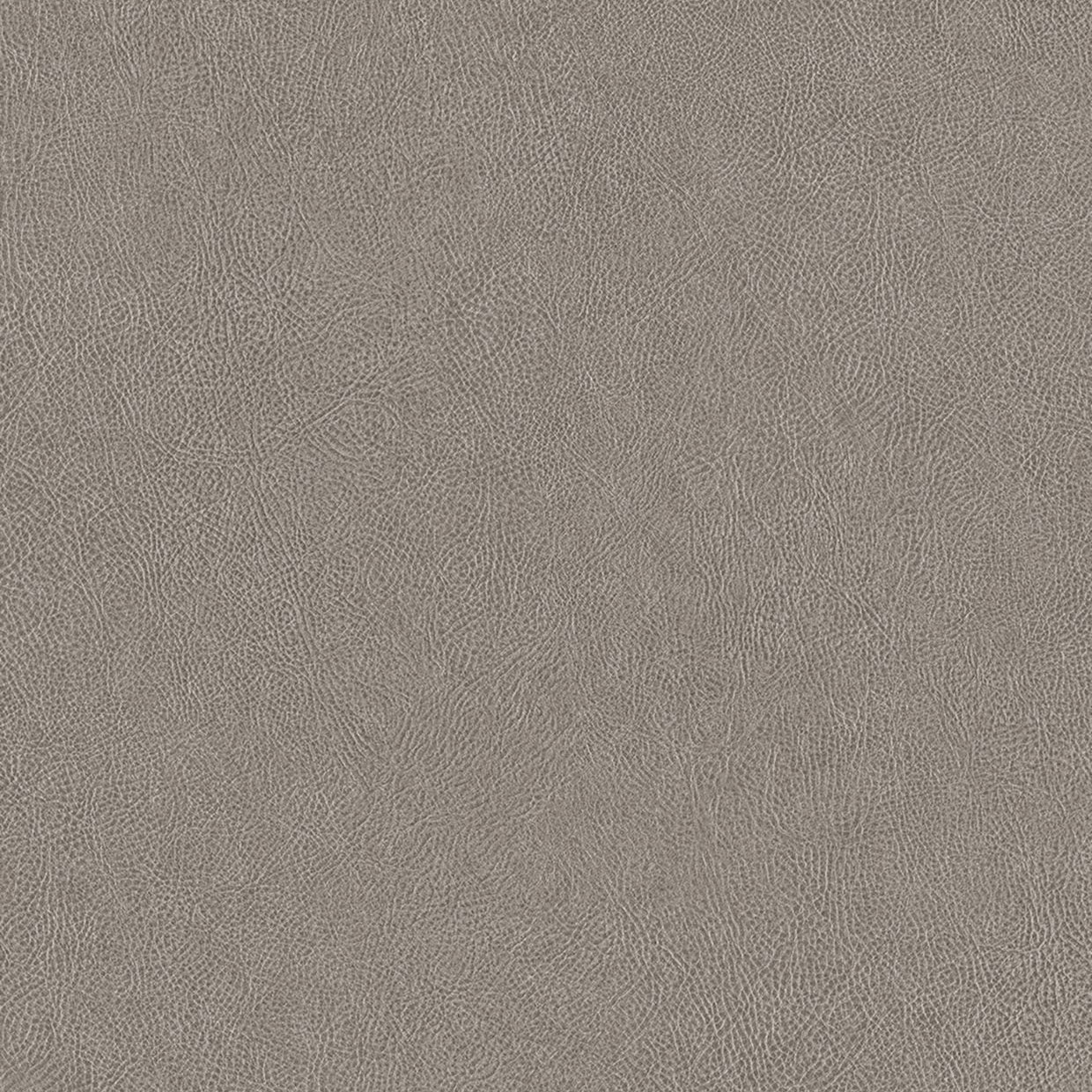 Cashmere - NE41